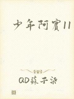 少年阿宾11