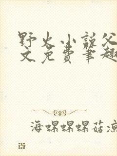 野火小说父女全文免费笔趣阁