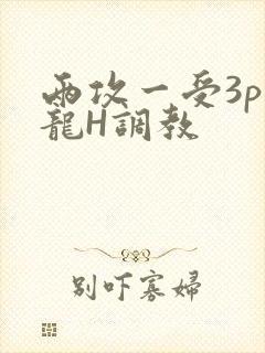 两攻一受3p双龙H调教