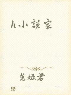 h小说家