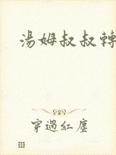 汤姆叔叔转接口