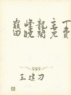 巅峰龙主丁长顺田晓兰免费阅读