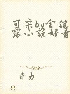 可宋by金银花露小说好看吗