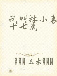 我叫林小喜今年十七岁