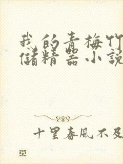 我的青梅竹马是储精器小说