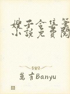 嫂子合集笔趣阁小说免费阅读