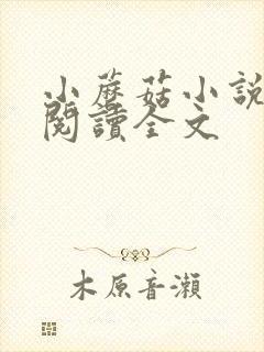 小蘑菇小说免费阅读全文