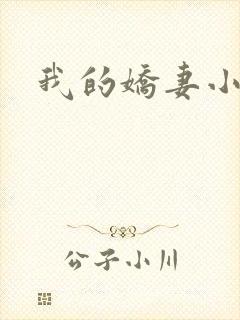 我的娇妻小说