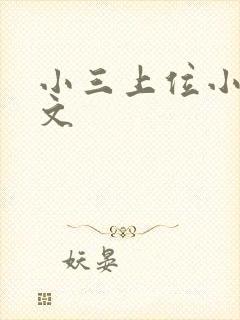 小三上位小说全文