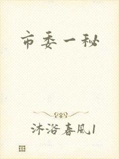 市委一秘