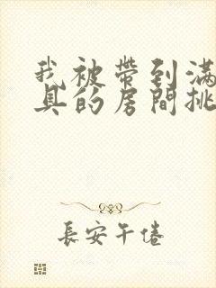 我被带到满是玩具的房间挑调作文