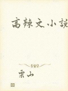 高辣文小说
