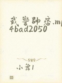 武警帅痞.mp4bad2050