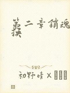 第二章销魂的交换