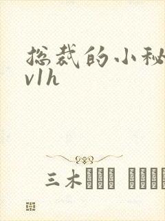 总裁的小秘书1v1h