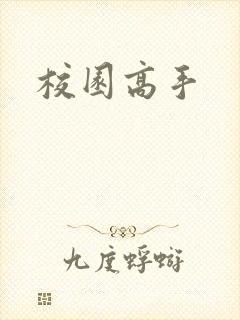 校园高手