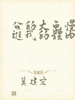 公的大龟慢慢挺进我的体内