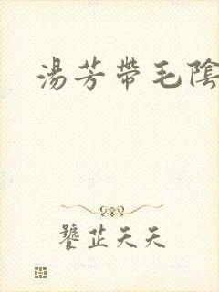 汤芳带毛阴部