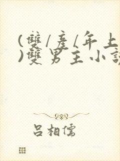 (双/产/年上)双男主小说