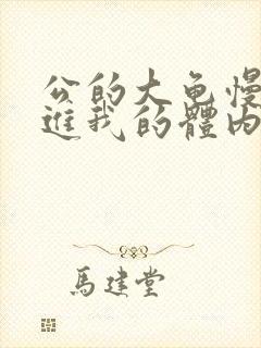 公的大龟慢慢挺进我的体内