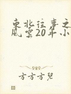 东北往事之黑道风云20年小说