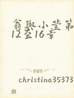 翁与小莹第十部12至16章