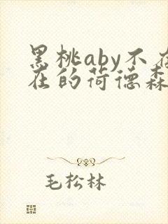 黑桃aby不存在的荷德森笔趣阁