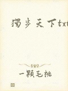 独步天下txt