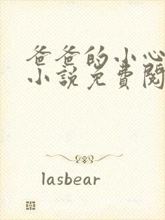 爸爸的小心肝儿小说免费阅读