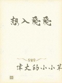 想入飞飞