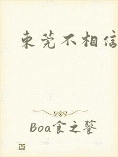 东莞不相信眼泪