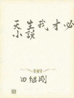 天生我才必有用小说