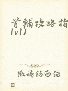 首辅攻略指南(1v1)