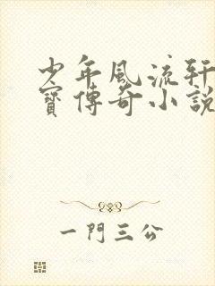 少年风流轩辕大宝传奇小说