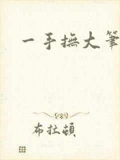 一手抚大笔趣阁