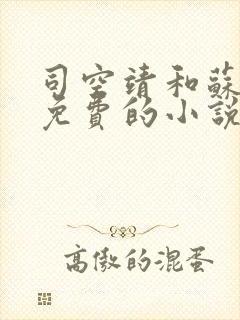 司空靖和苏月汐免费的小说笔趣阁