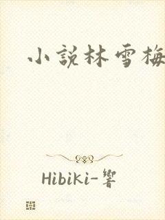 小说林雪梅