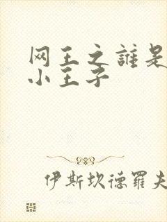 网王之谁是我的小王子