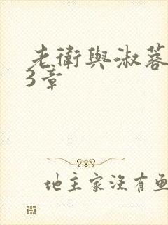 老卫与淑蓉第13章