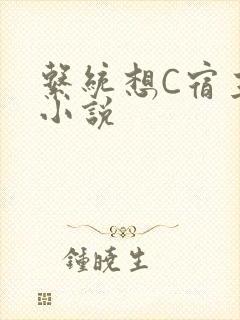 系统想C宿主的小说