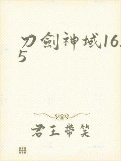 刀剑神域16.5