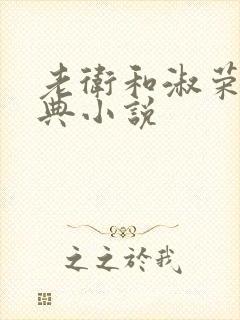 老卫和淑荣的经典小说