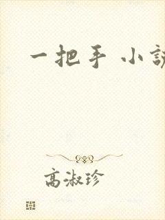 一把手 小说
