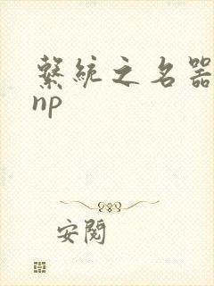 系统之名器攻略np