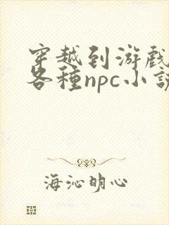 穿越到游戏里和各种npc小说