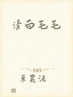 清白毛毛
