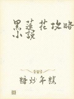 黑莲花攻略手册小说