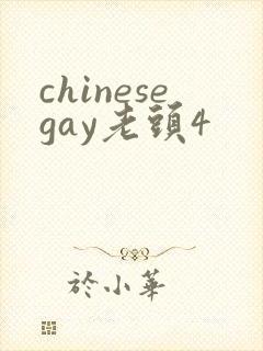 chinesegay老头4