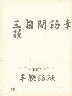 三日间的幸福小说