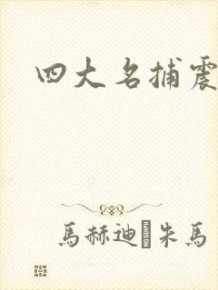 四大名捕震关东